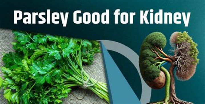 is parsley good for kidneys