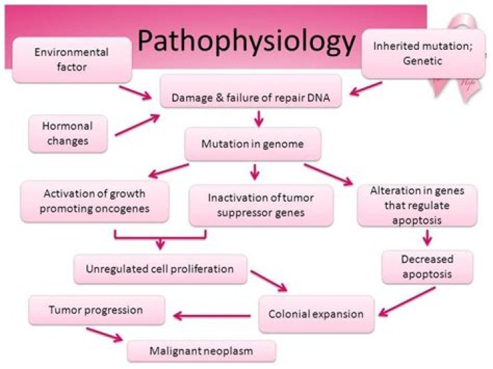 is pathophysiology hard
