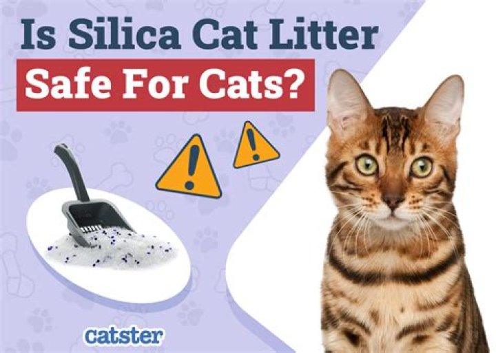 is silica cat litter safe for the environment