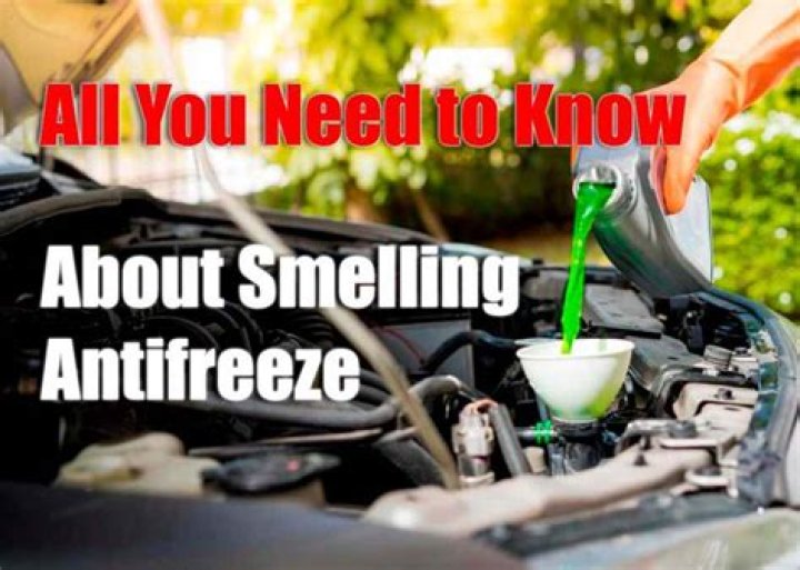 is smelling antifreeze bad for you