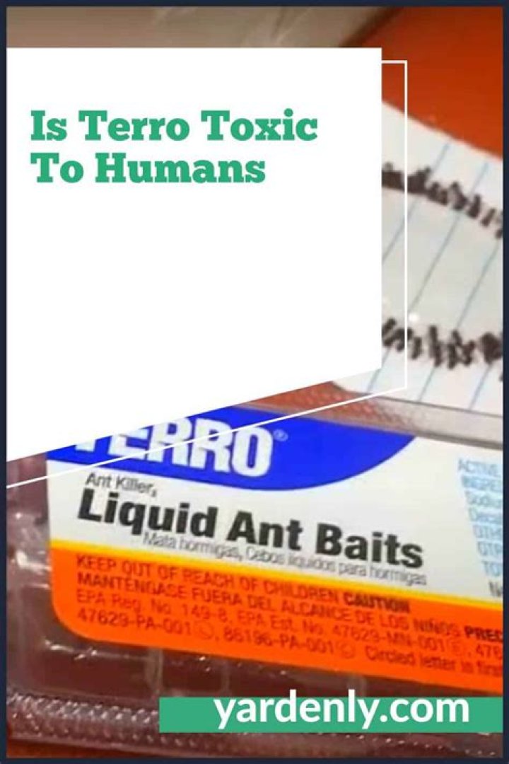 is terro ant killer harmful to humans