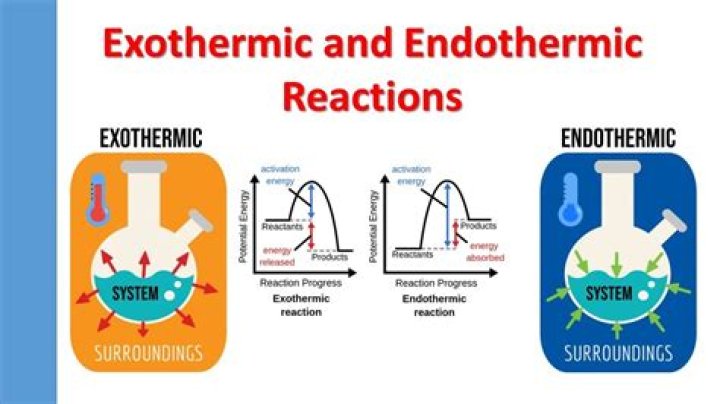 is the dissolution of borax endothermic or exothermic