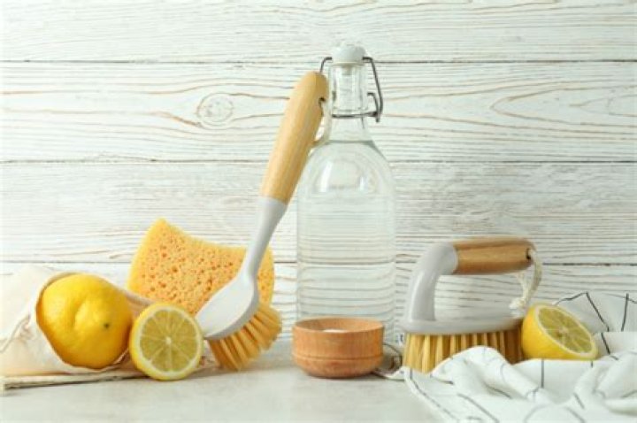 is vinegar citric acid