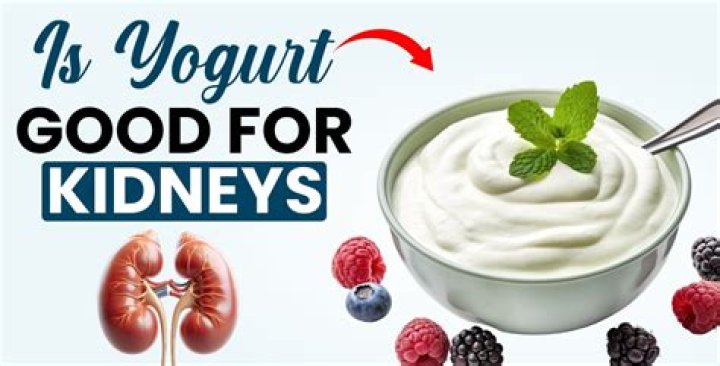 is yogurt good for kidneys