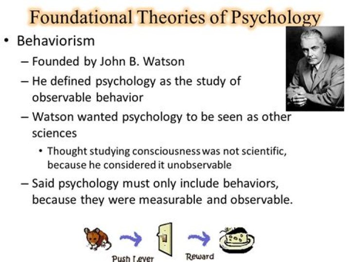 john watson believed that psychology should focus on the study of