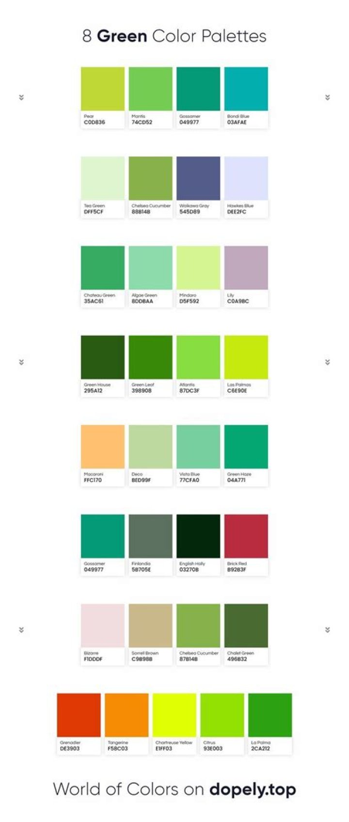 jungle green matches with which colour