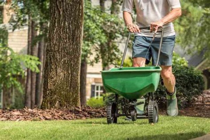 lawn replacement cost