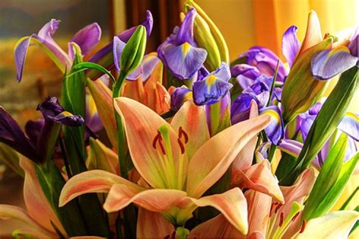lilies and irises