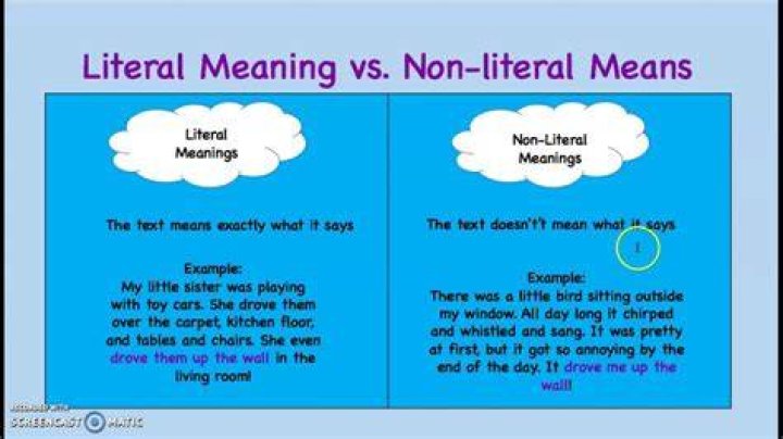 literal and nonliteral meaning