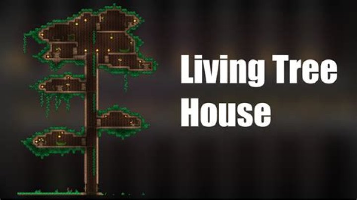 living wood terraria