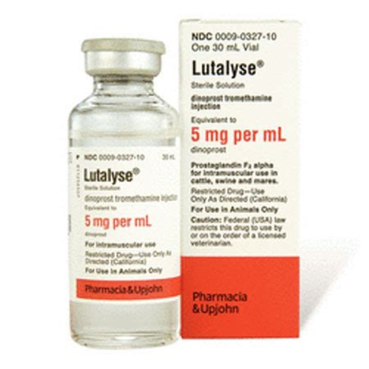 lutalyse for dogs