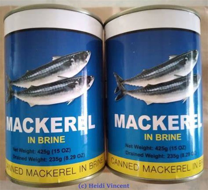 mackerel in brine