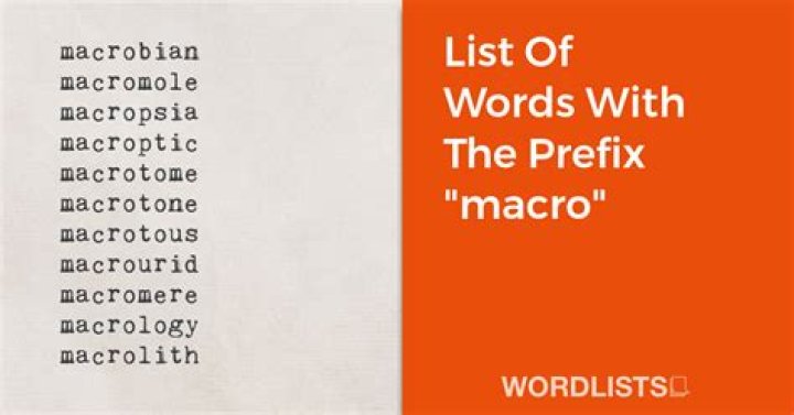 macro prefix meaning