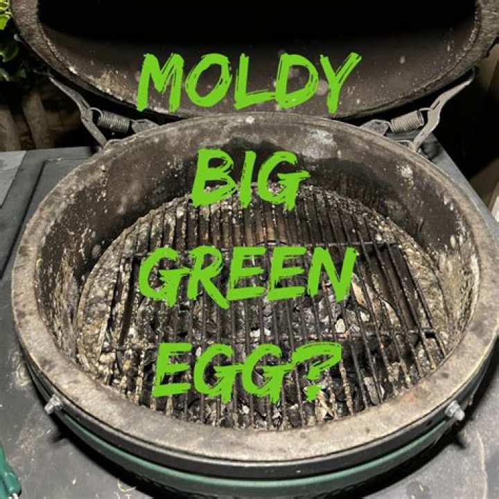 mold in green egg