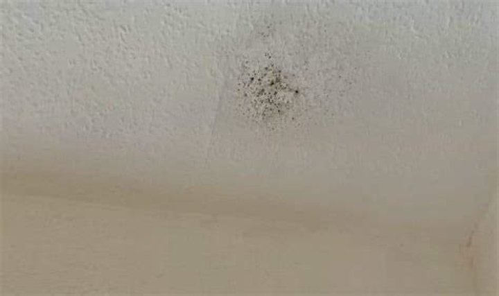 mold on ceiling in bedroom