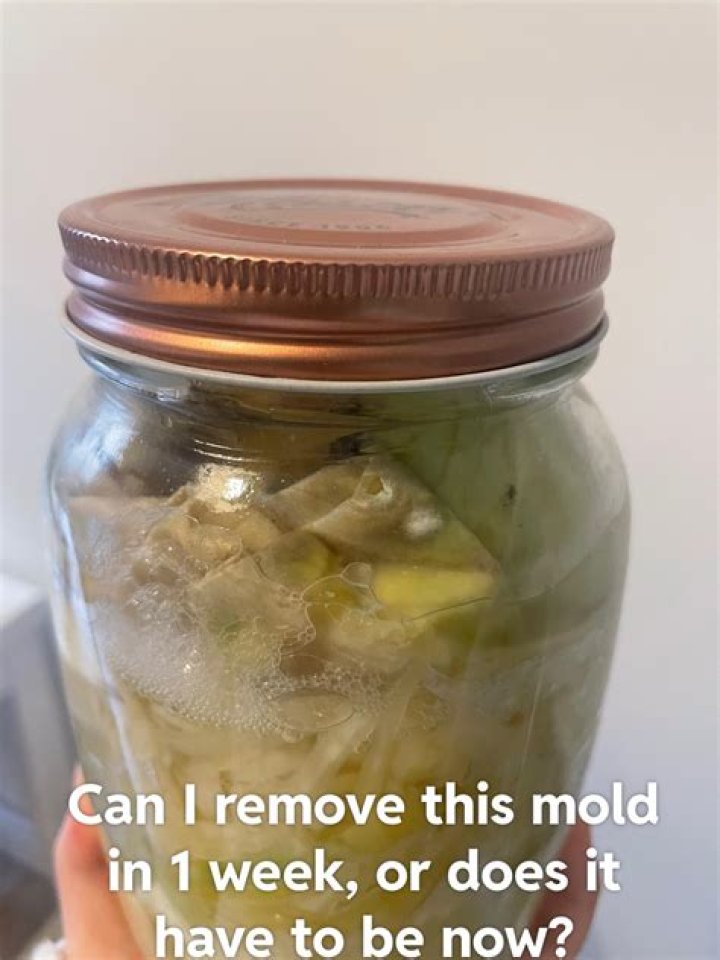 mold on sauerkraut