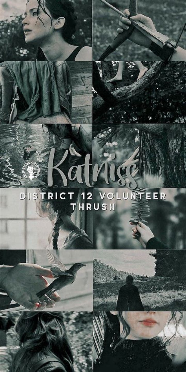 mood in the hunger games