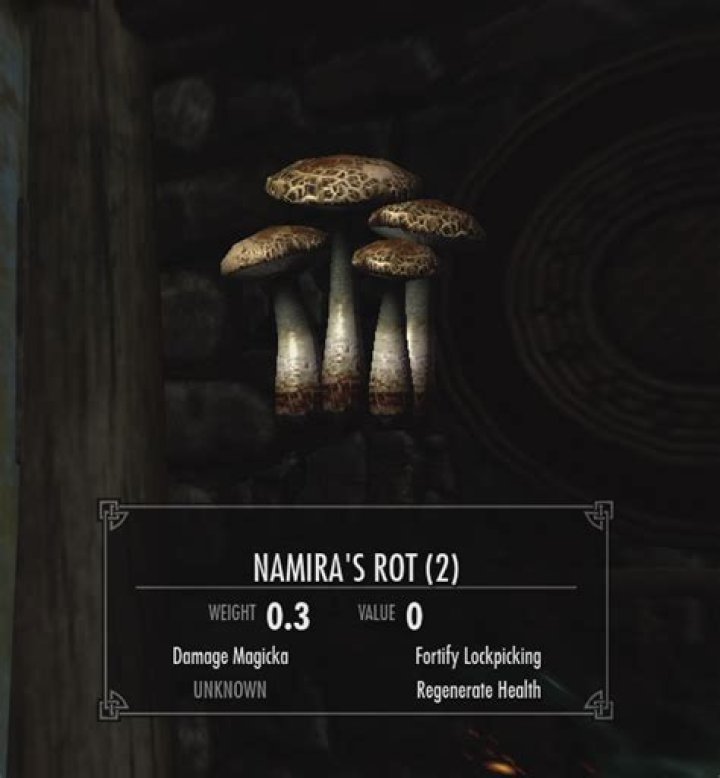 namira’s rot skyrim alchemy