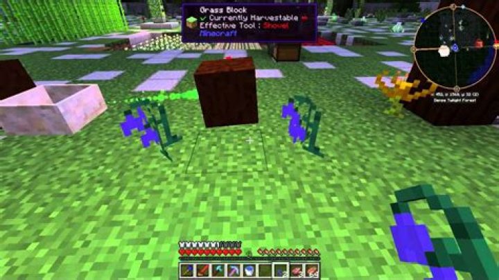nightshade botania