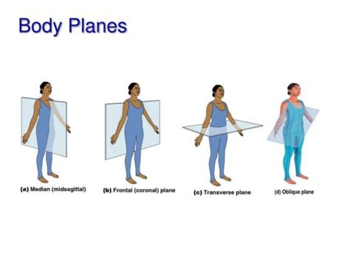 oblique body plane