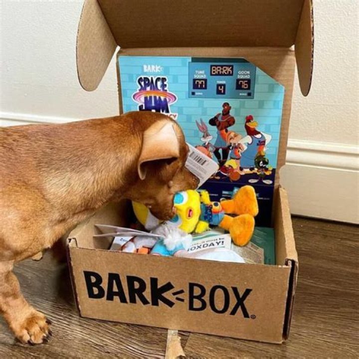 one time barkbox