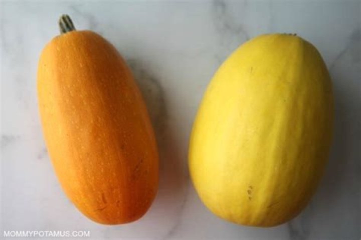 orangetti squash vs spaghetti squash
