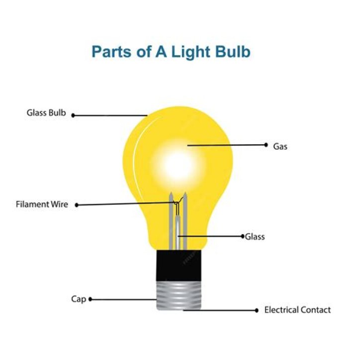 parts of bulb