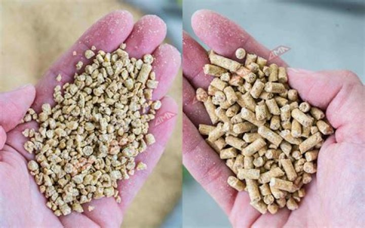 pellets or crumbles for chickens