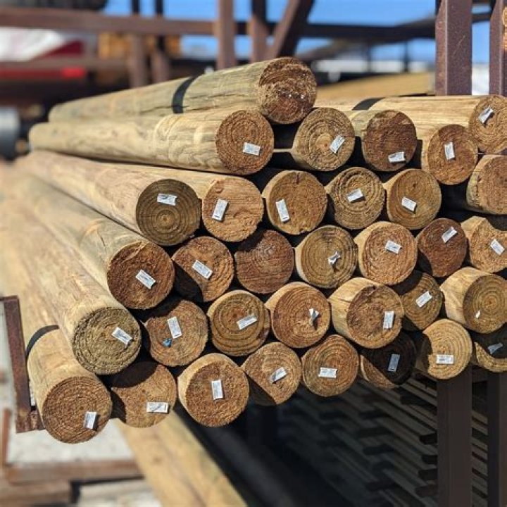 pine logs prices