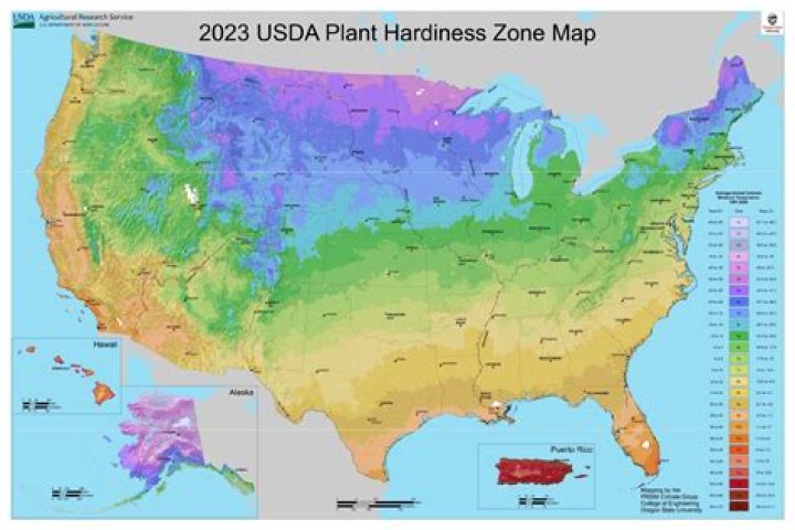 planting zone for ct