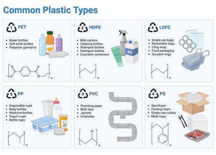 plastic scientific name