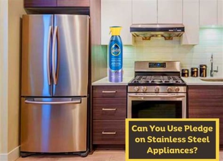 pledge on stainless steel