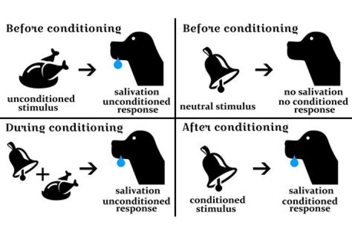 principles of classical conditioning