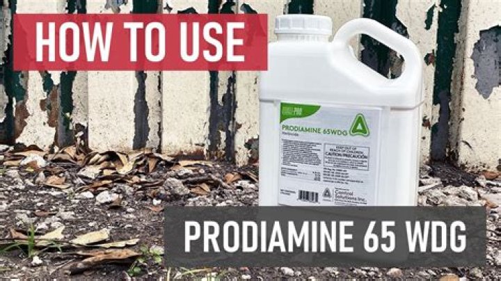 prodiamine safe for pets