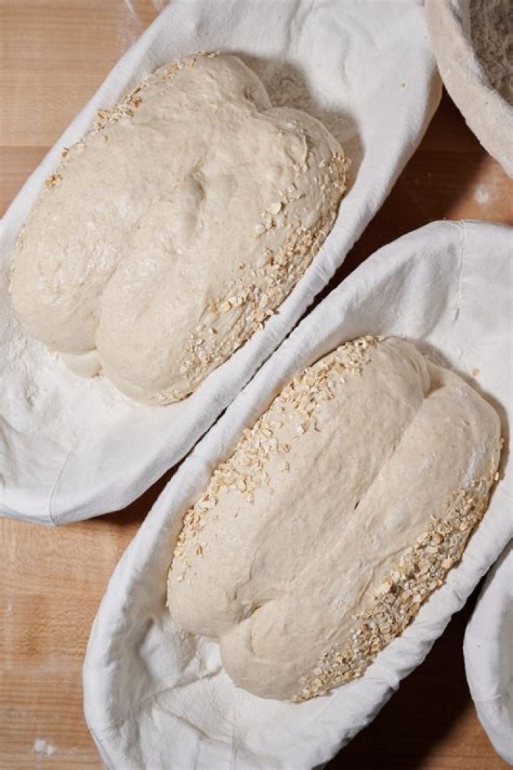 proofing or proving bread