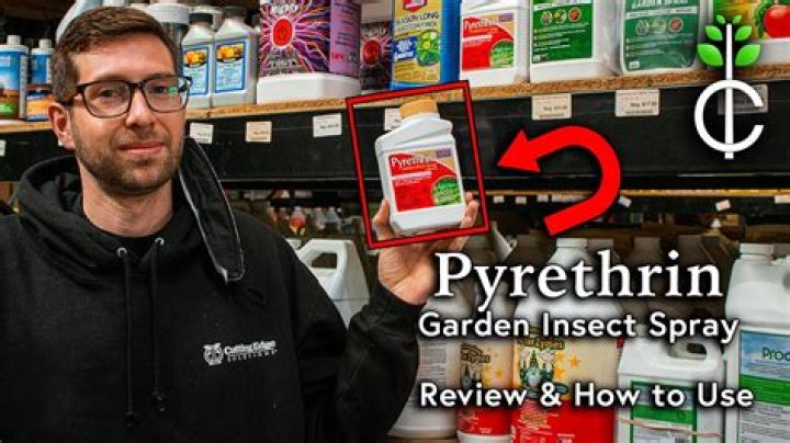 pyrethrin spray indoors