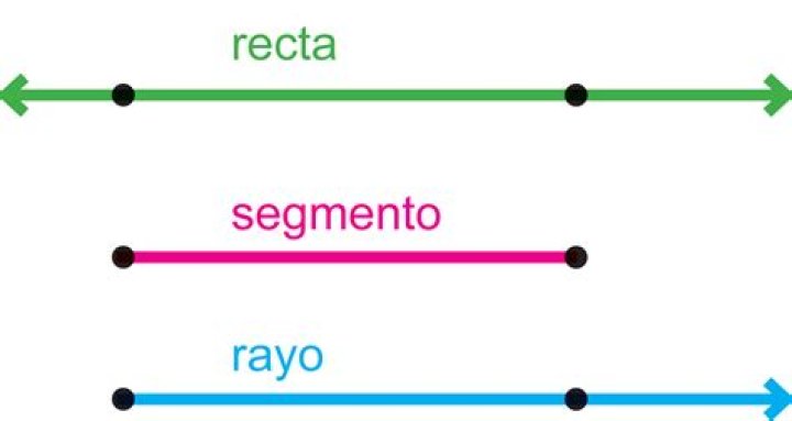 qué es un segmento