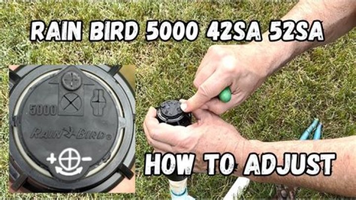 rain bird 42sa adjustment