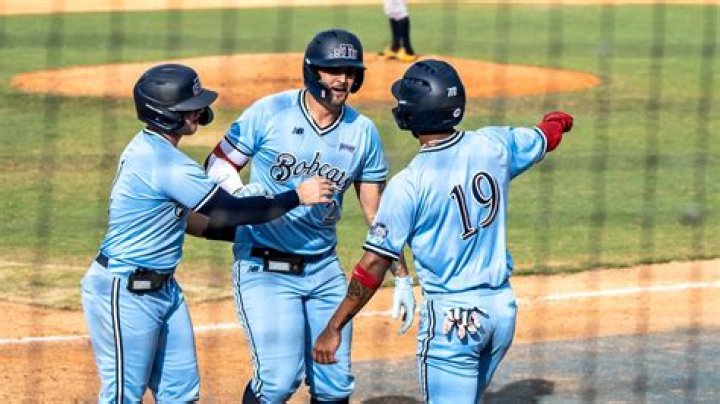 rake baseball term