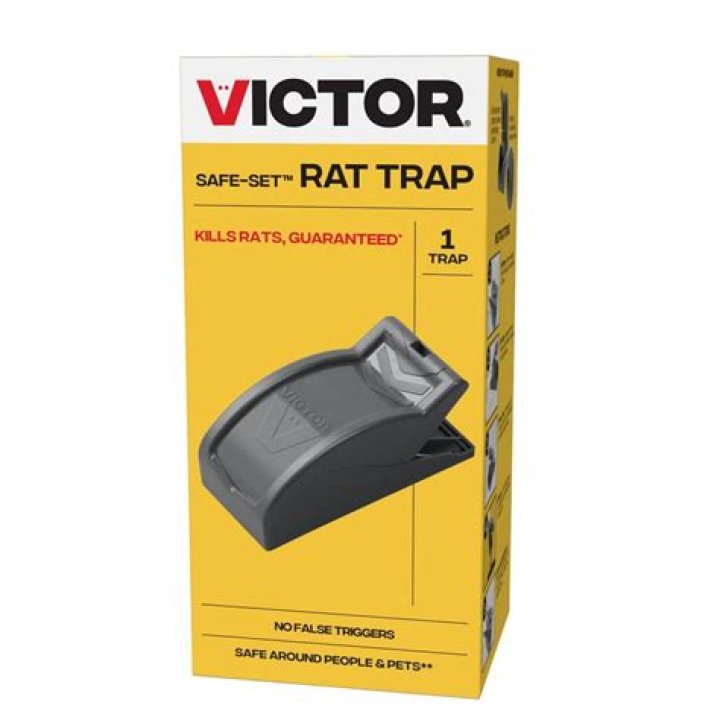 rat trap home depot