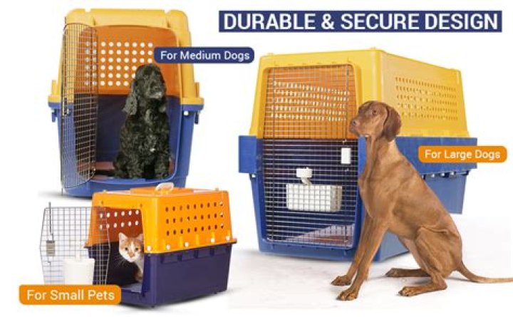 rent dog crates