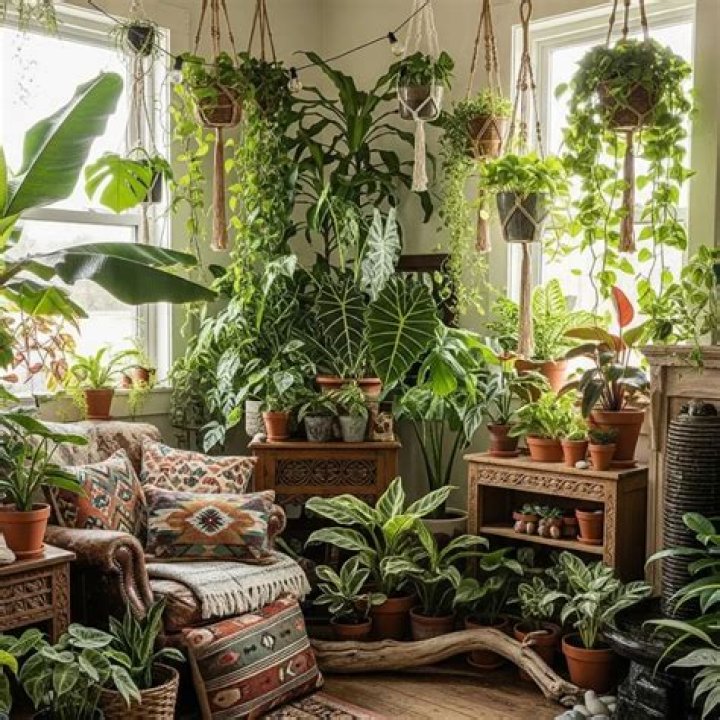 room full of plants