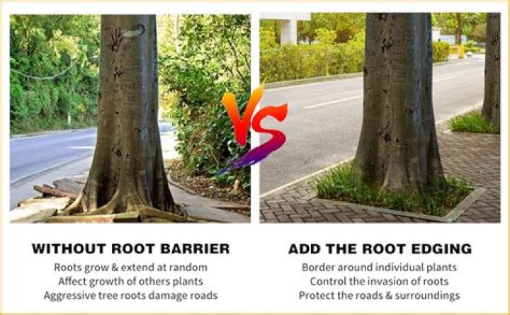 root barrier installation cost