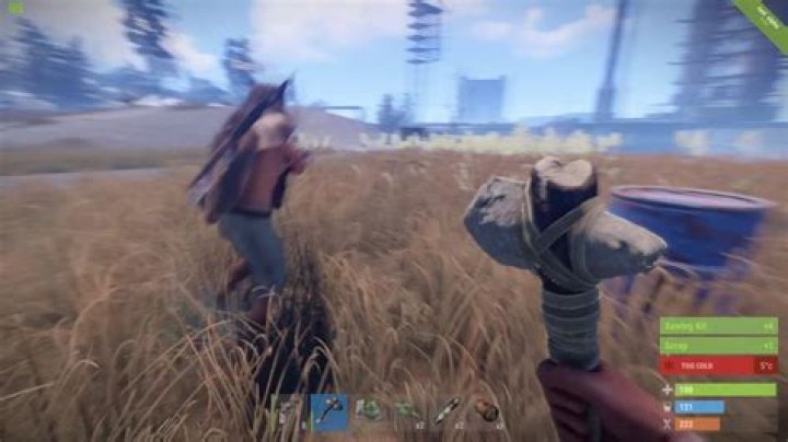rust.exe has stopped working