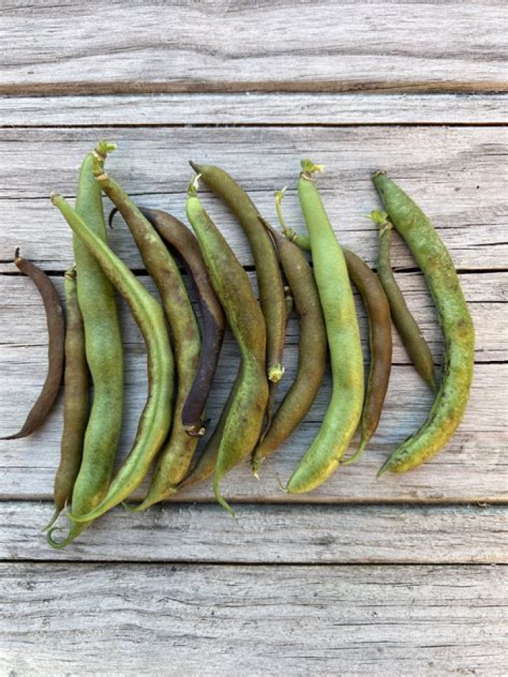 rust spots on green beans safe to eat