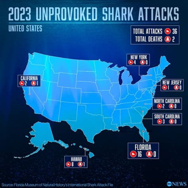 shark attacks in gulf shores alabama