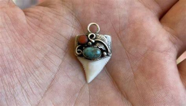 shark tooth necklace meaning