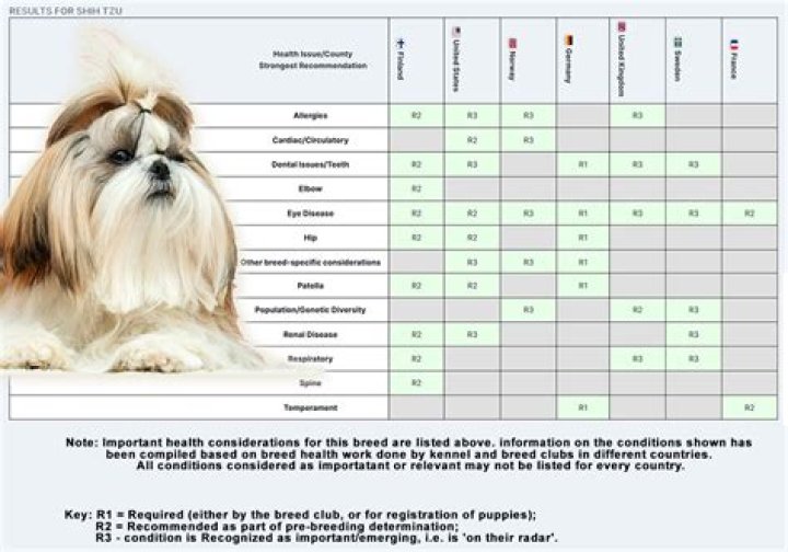 shih tzu temperature tolerance