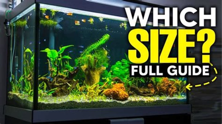 size 10 aquarium how many gallons