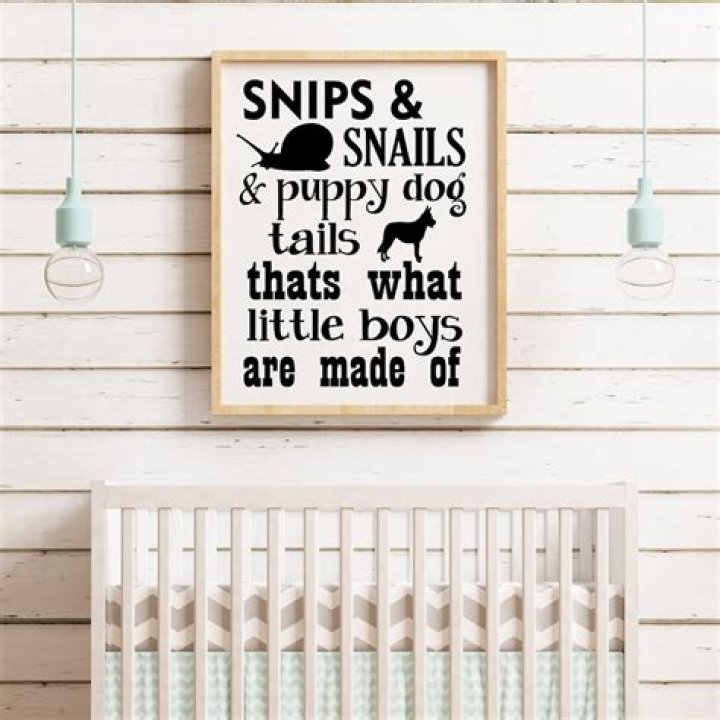 snips and snails meaning